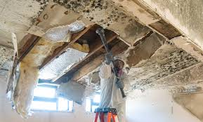 Best Water Damage & Mold Remediation  in West Long Branch, NJ